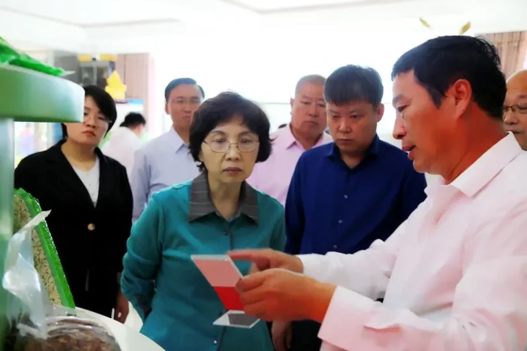 Leaders from the United Front Work Department of Xiqing District Committee of Tianjin visited our factory for research