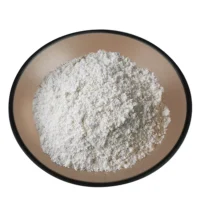 Apricot Kernel Protein Organic Apricot Kernel Protein Powder