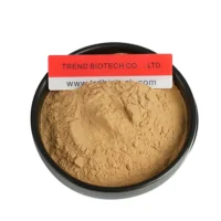 Shiitake Extract 30% Polysaccharides