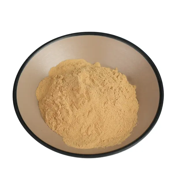 Shiitake Extract 30% Polysaccharides