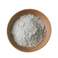 Wild organic Apricot Kernel Protein Organic Apricot Kernel Protein Powder